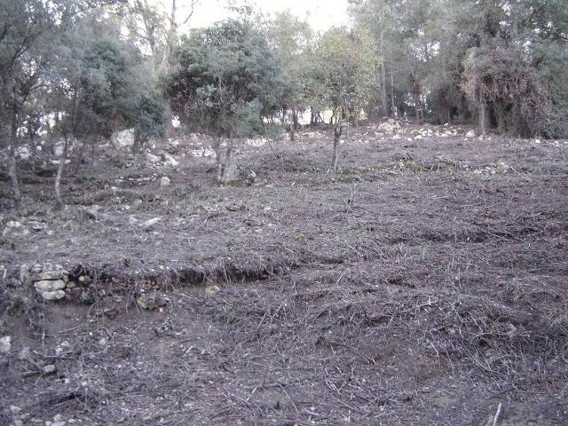 Terreno en venta en Alt Penedès, Catalunya