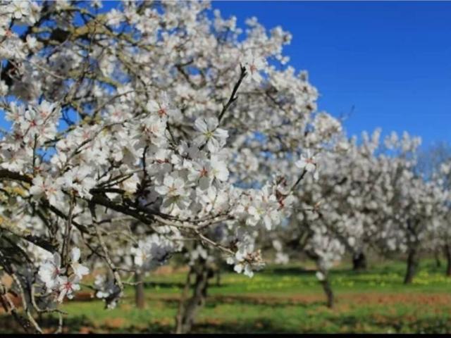 Terreno en venta en Urda, Castilla-La Mancha