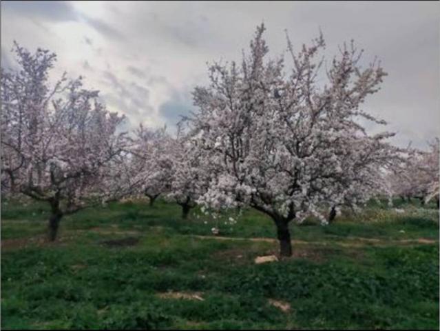 Terreno en venta en Urda, Castilla-La Mancha