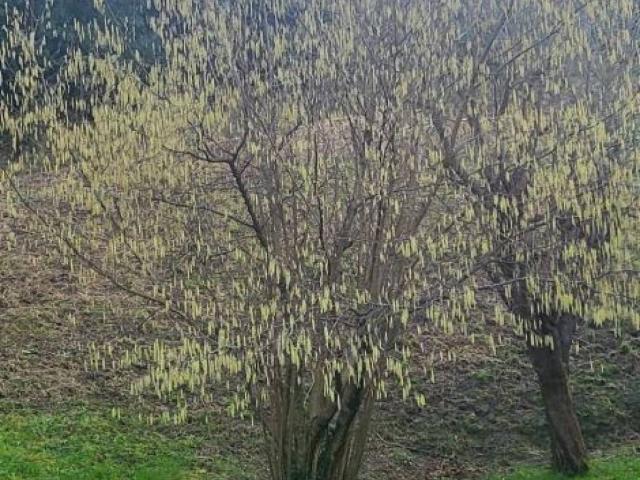 Terreno en venta en Urduliz