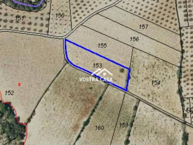 Terreno en venta en Utiel Terreno en venta en Utiel