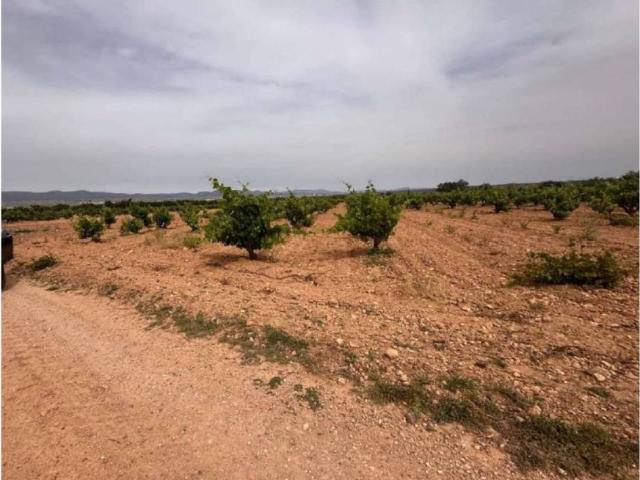 Terreno en venta en La Plana de Utiel-Requena, Valencia