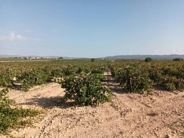 Terreno en venta en La Plana de Utiel-Requena, Valencia
