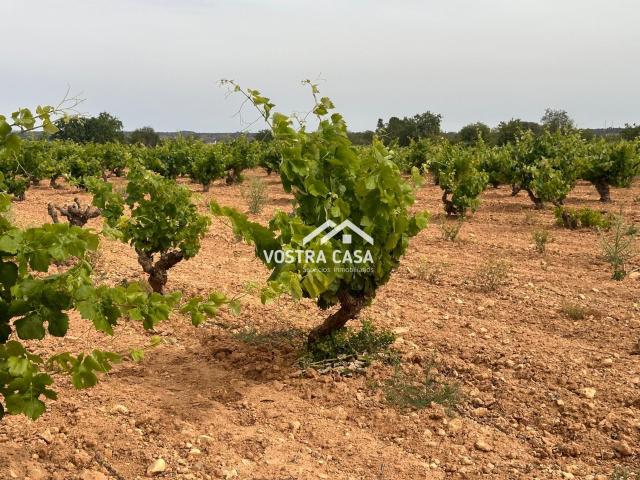 Terreno en venta en Utiel, Las Casas Terreno en venta en Utiel, Las Casas