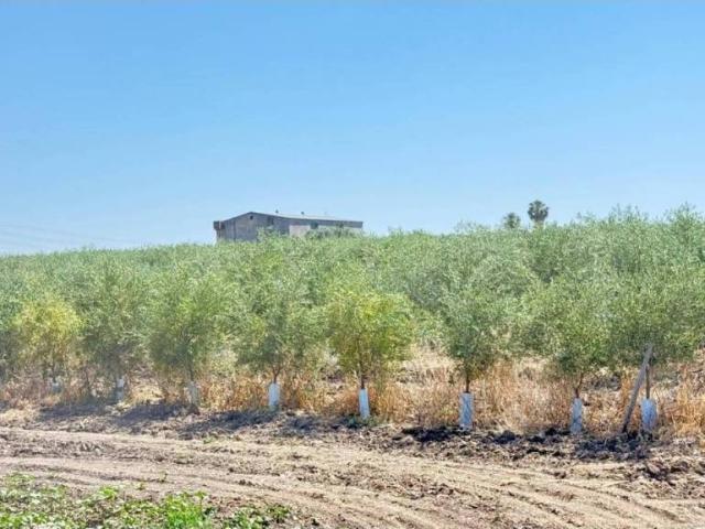 Terreno en venta en Utrera, Sevilla