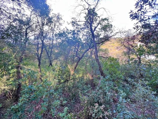 Terreno en venta en els Caus, Vallès Occidental