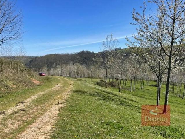 Terreno en venta en Valdáliga, Cantabria