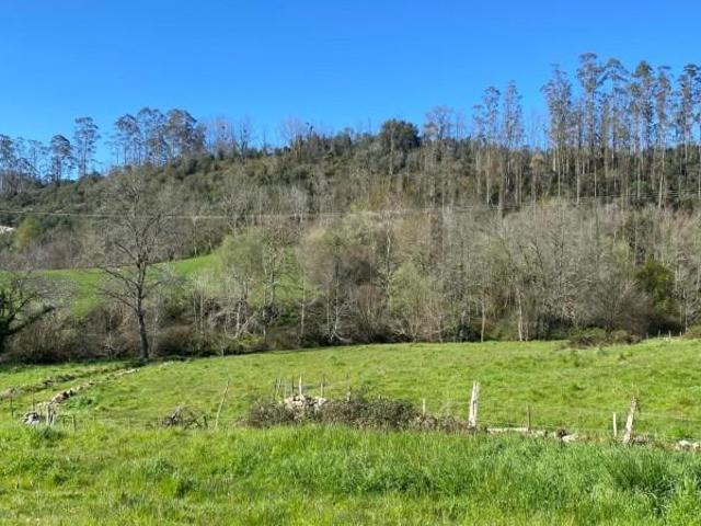 Terreno en venta en Roiz, Valdáliga