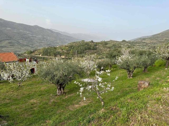 Terreno en venta en Valdastillas, Extremadura