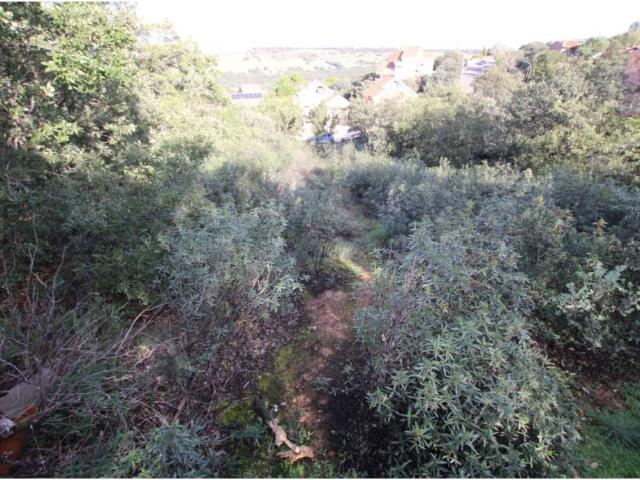 Terreno en venta en Valdeaveruelo, Castilla-La Mancha