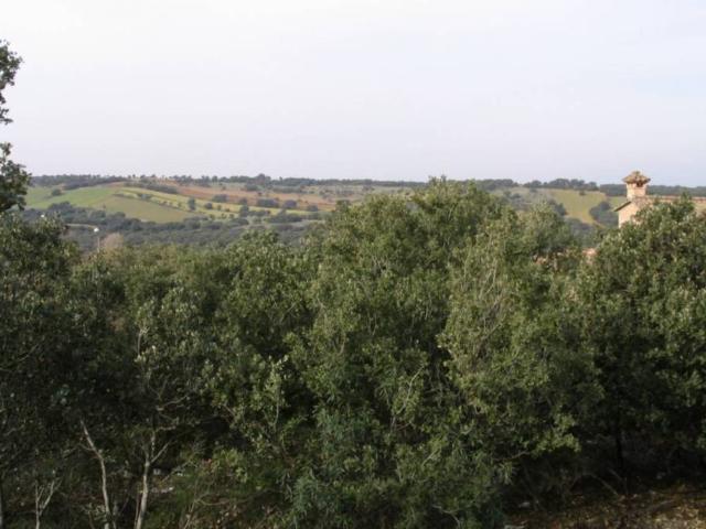 Terreno en venta en Sotolargo, Valdeaveruelo