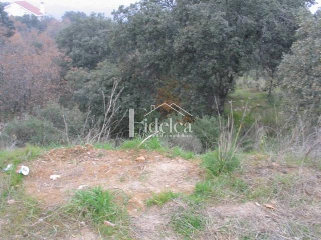 Terreno en venta en Sotolargo, Valdeaveruelo