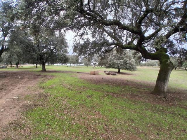 Terreno en venta en Valdecaballeros, Extremadura