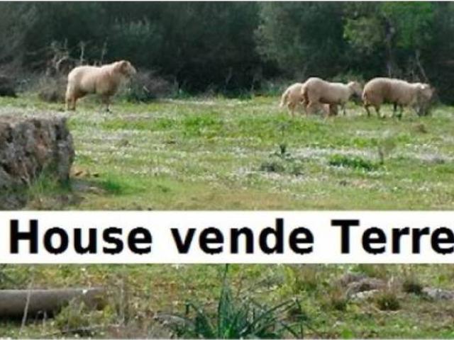 Terreno en venta en Valdefresno, Castilla y León