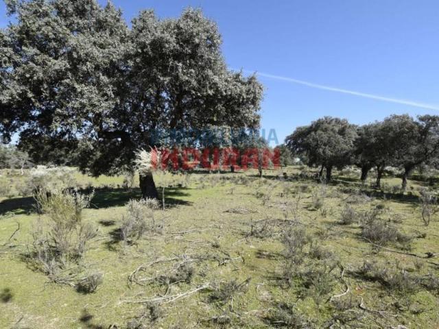 Terreno en venta en Valdehúncar, Extremadura