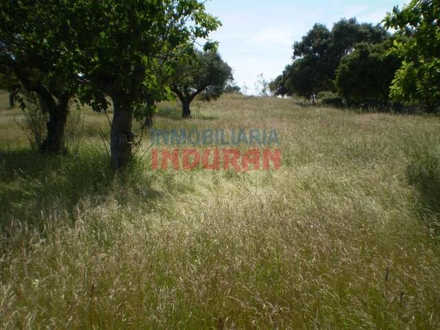 Terreno en venta en Valdehúncar, Extremadura