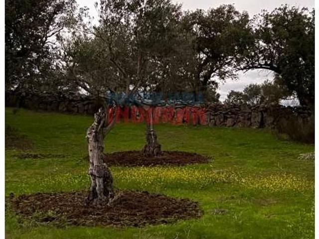 Terreno en venta en Valdehúncar, Extremadura