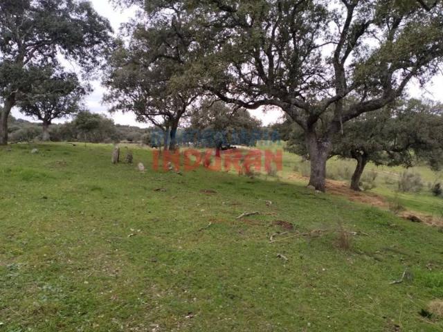 Terreno en venta en Valdehúncar, Extremadura