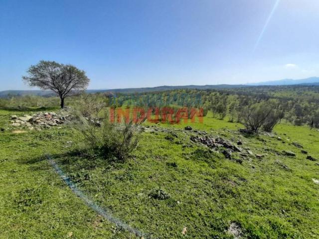 Terreno en venta en Valdelacasa De Tajo, Extremadura