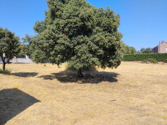 Terreno en venta en Valdemorillo, Madrid
