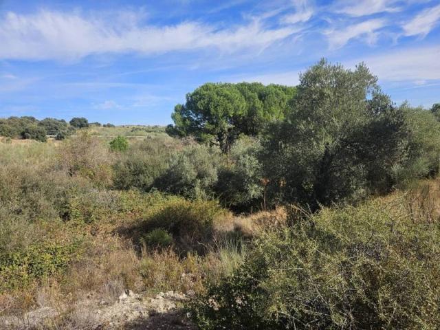 Terreno en venta en Valdemorillo, Madrid