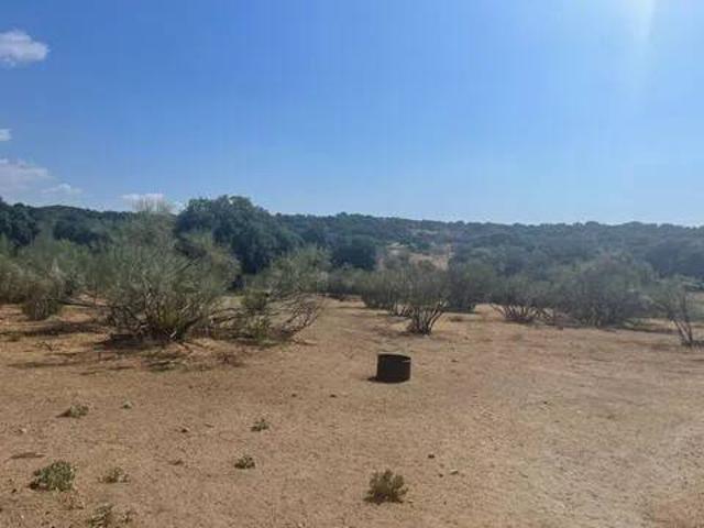 Terreno en venta en Valdemorillo, Madrid