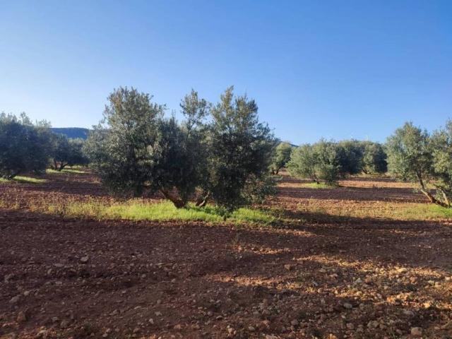 Terreno en venta en Valdepeñas, Castilla-La Mancha