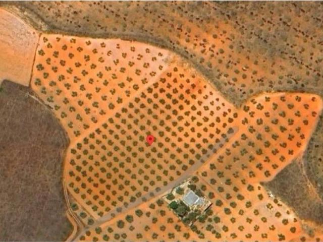 Terreno en venta en Valdepeñas, Castilla-La Mancha