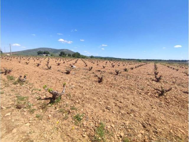 Terreno en venta en Valdepeñas, Castilla-La Mancha