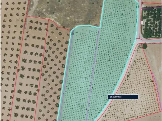Terreno en venta en Valdepeñas, Castilla-La Mancha