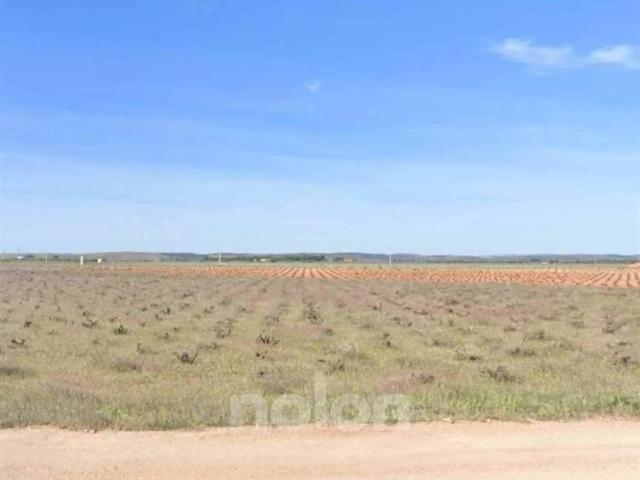 Terreno en venta en Valdepeñas, Castilla-La Mancha