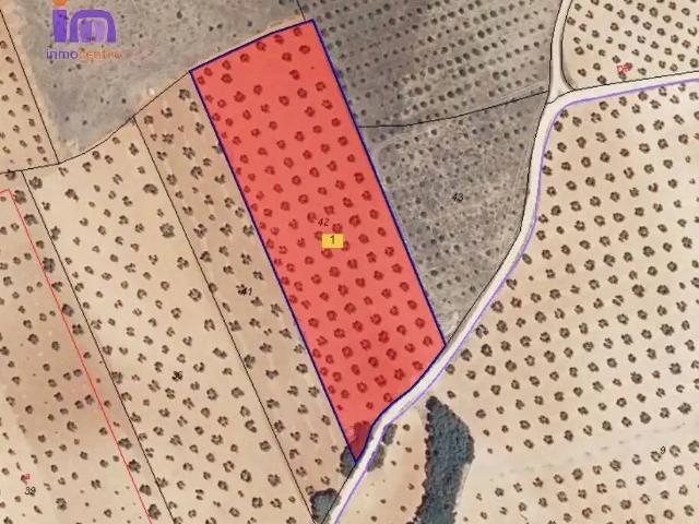 Terreno en venta en Valdepeñas, Castilla-La Mancha
