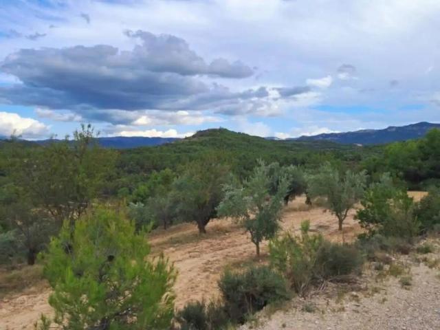 Terreno en venta en Matarraña / Matarranya, Valderrobres