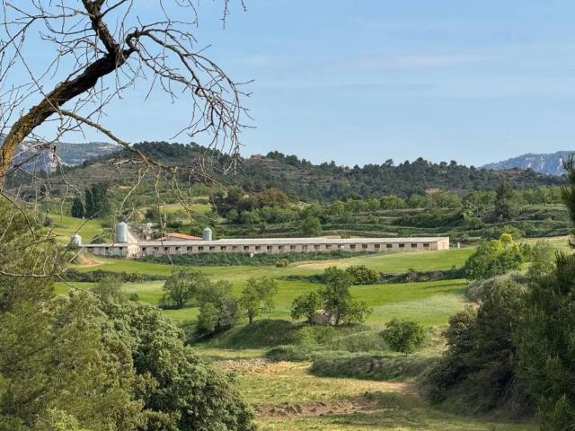 Terreno en venta en Matarraña / Matarranya, Valderrobres