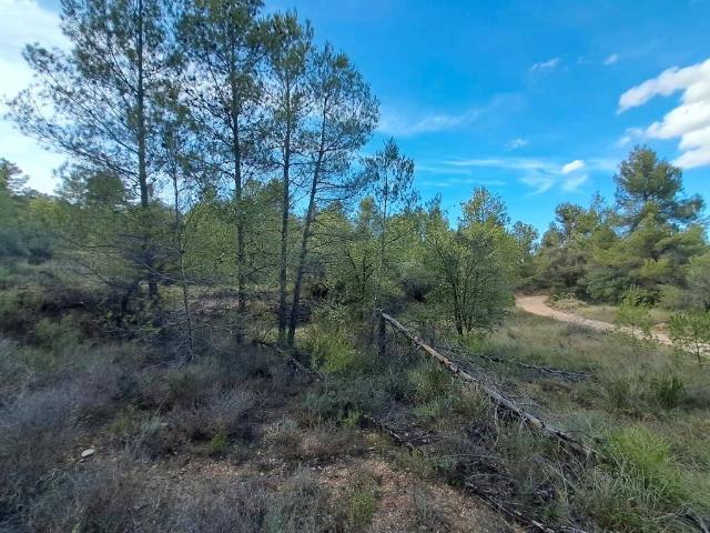 Terreno en venta en Matarraña / Matarranya, Valderrobres