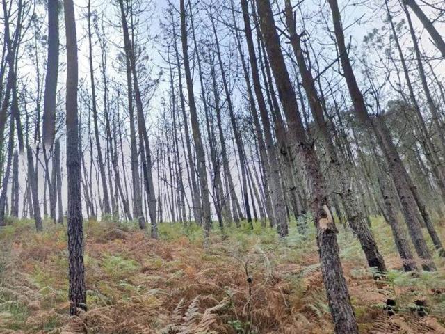 Terreno en venta en Valdés, Xanteiro