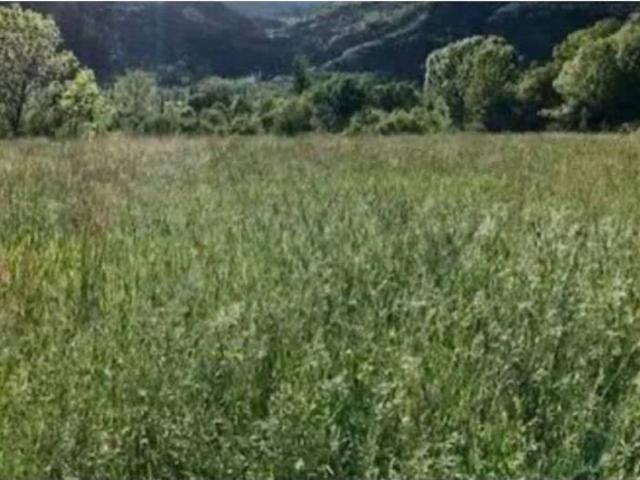 Terreno en venta en Valdés, Asturias