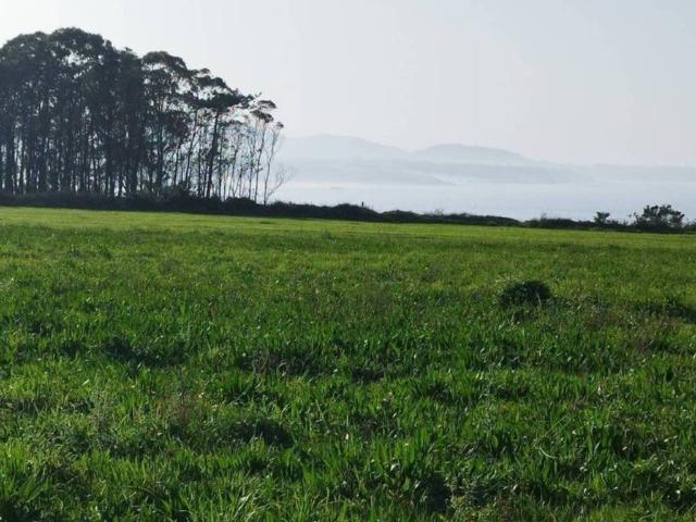 Terreno en venta en Valdés, Asturias