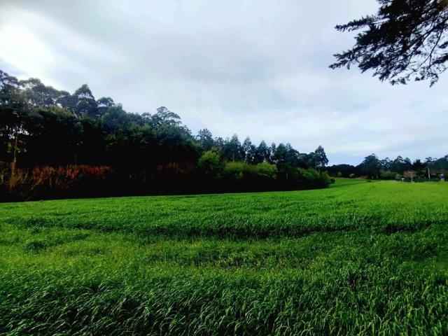 Terreno en venta en Valdés, Asturias