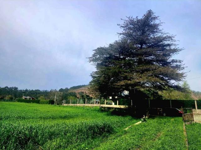 Terreno en venta en Valdés, Asturias