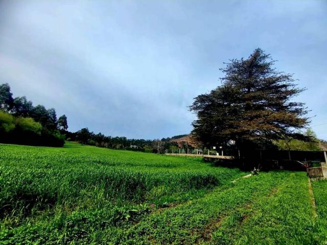Terreno en venta en Valdés, Asturias