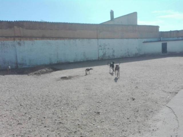Terreno en venta en Valdestillas