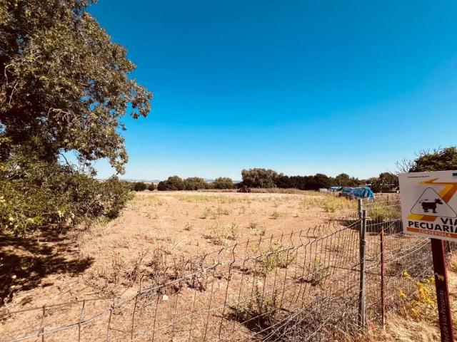 Terreno en venta en Valdetorres De Jarama, Madrid