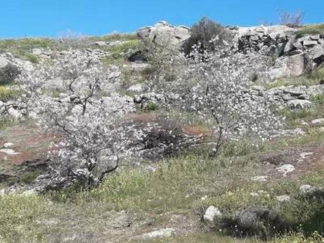 Terreno en venta en Valdeverdeja, Castilla-La Mancha