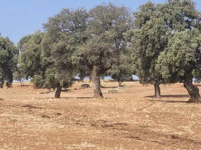 Terreno en venta en Valdeverdeja, Castilla-La Mancha