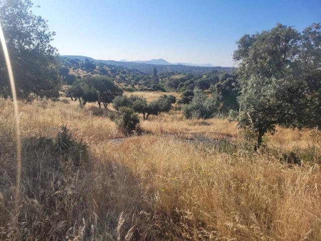 Terreno en venta en Valdeverdeja, Castilla-La Mancha