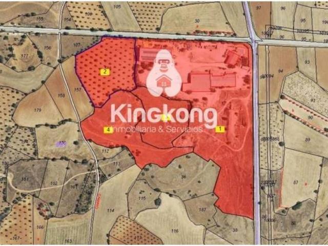 Terreno en venta en Valdilecha, Madrid