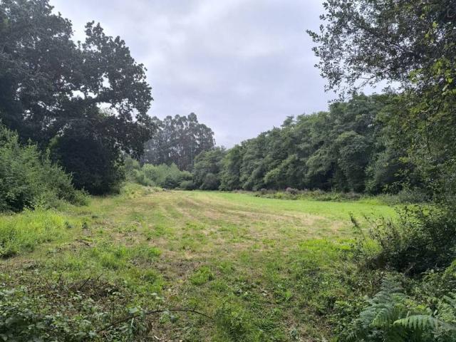Terreno en venta en Ferrol, Galicia