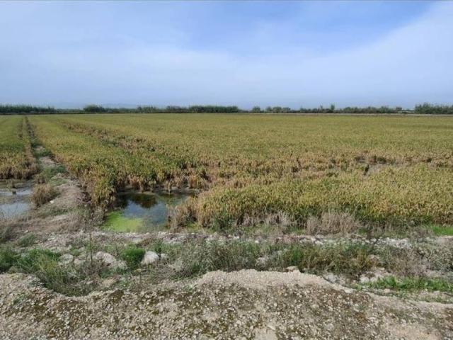 Terreno en venta en Comarca de València, Valencia