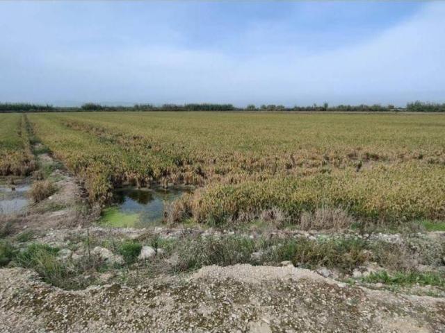 Terreno en venta en Comarca de València, Valencia